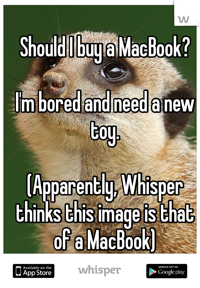 Should I buy a MacBook?

I'm bored and need a new toy. 

(Apparently, Whisper thinks this image is that of a MacBook)