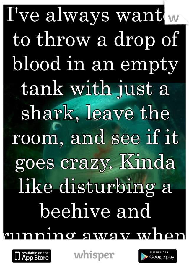 I've always wanted to throw a drop of blood in an empty tank with just a shark, leave the room, and see if it goes crazy. Kinda like disturbing a beehive and running away when they come at you. 