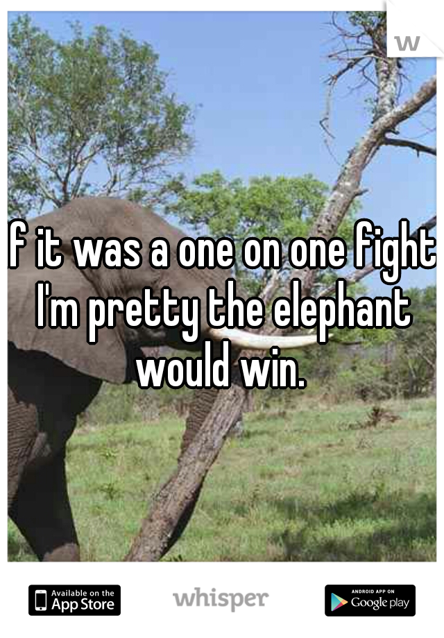 If it was a one on one fight I'm pretty the elephant would win. 