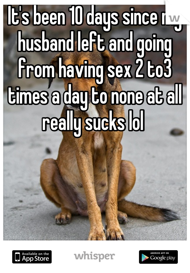 It's been 10 days since my husband left and going from having sex 2 to3 times a day to none at all really sucks lol 
