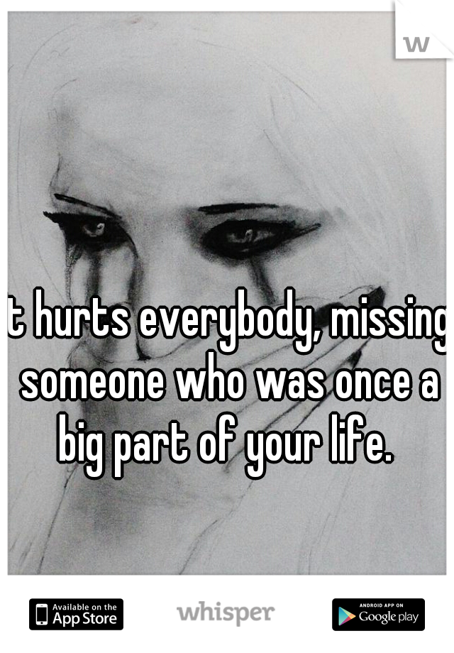 It hurts everybody, missing someone who was once a big part of your life. 