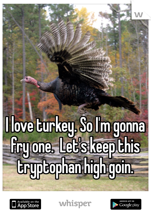 I love turkey. So I'm gonna fry one.  Let's keep this tryptophan high goin. 