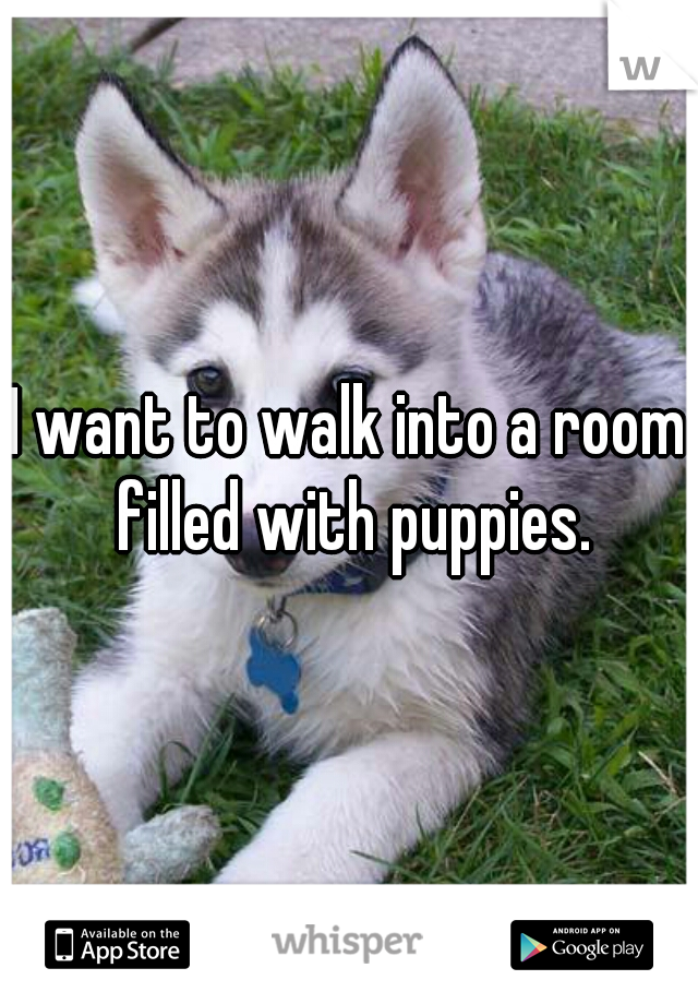 I want to walk into a room filled with puppies.