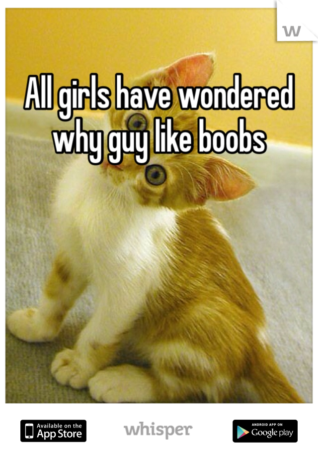 All girls have wondered why guy like boobs 