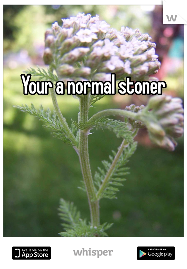 Your a normal stoner 
