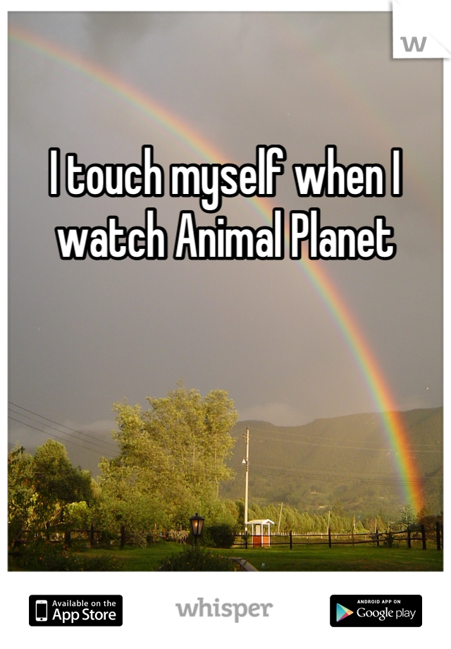 I touch myself when I watch Animal Planet