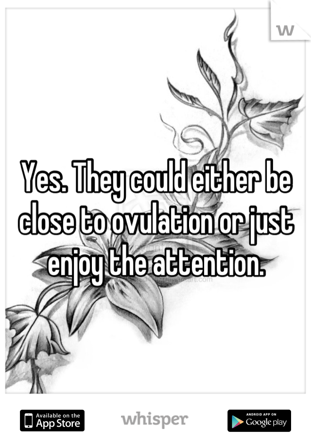 Yes. They could either be close to ovulation or just enjoy the attention.