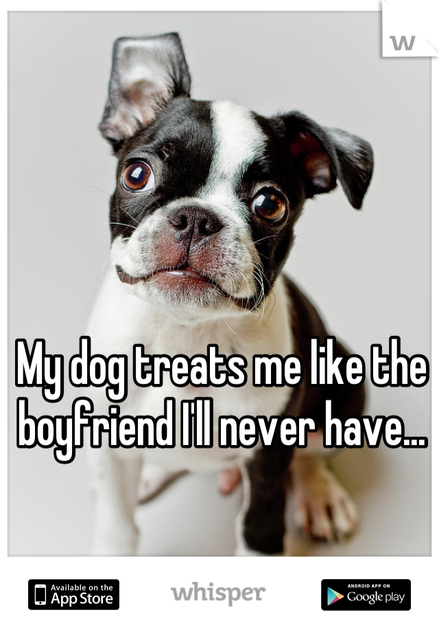 My dog treats me like the boyfriend I'll never have...