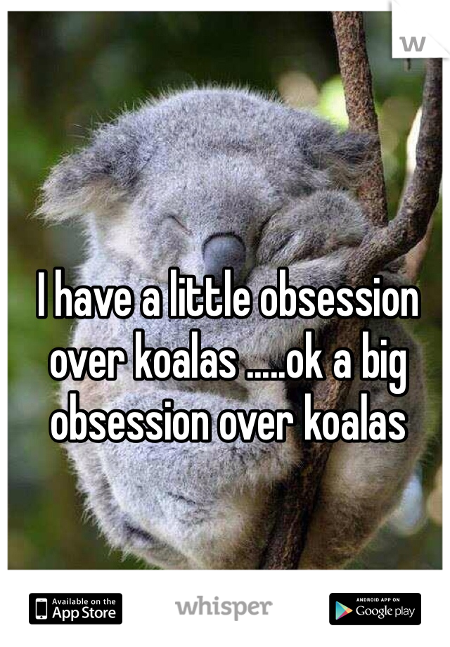 I have a little obsession over koalas .....ok a big obsession over koalas
