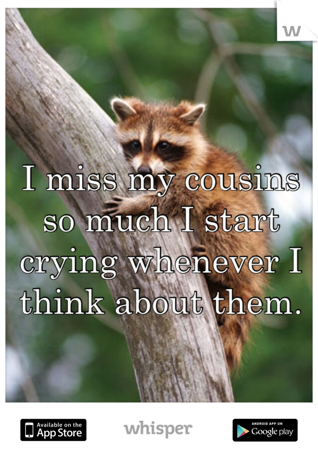 I miss my cousins so much I start crying whenever I think about them. 