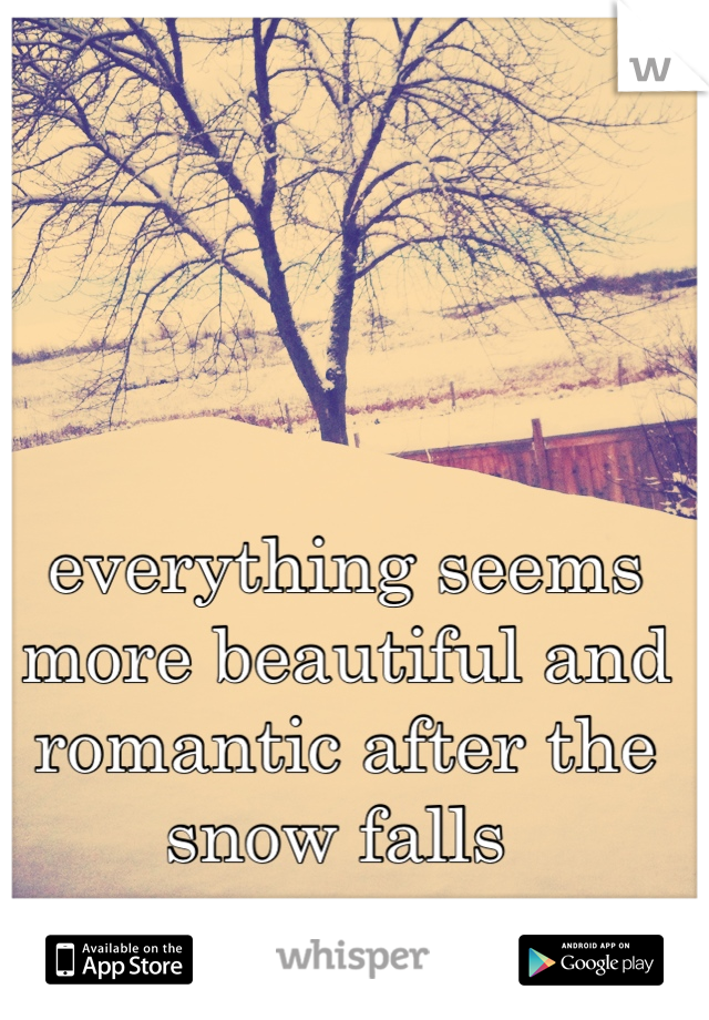 everything seems more beautiful and romantic after the snow falls 