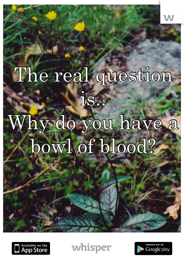 The real question is..
Why do you have a bowl of blood?
