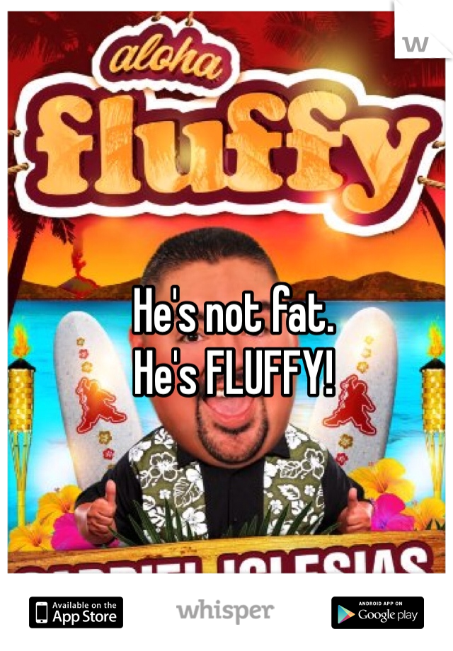 He's not fat. 
He's FLUFFY!