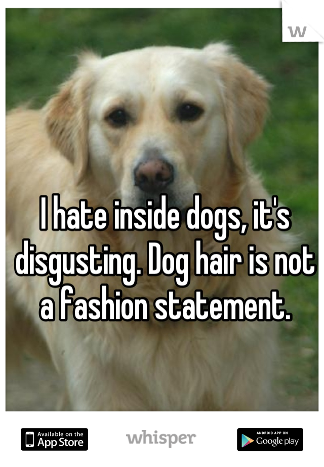 I hate inside dogs, it's disgusting. Dog hair is not a fashion statement.