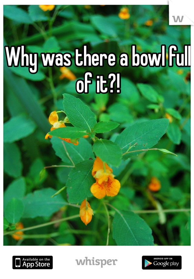 Why was there a bowl full of it?!