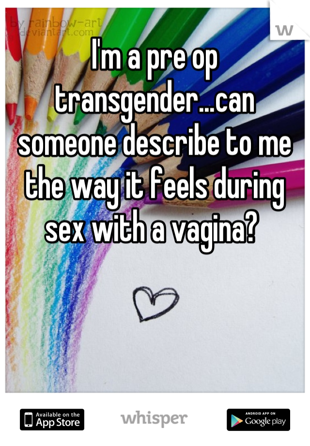 I'm a pre op transgender...can someone describe to me the way it feels during sex with a vagina? 