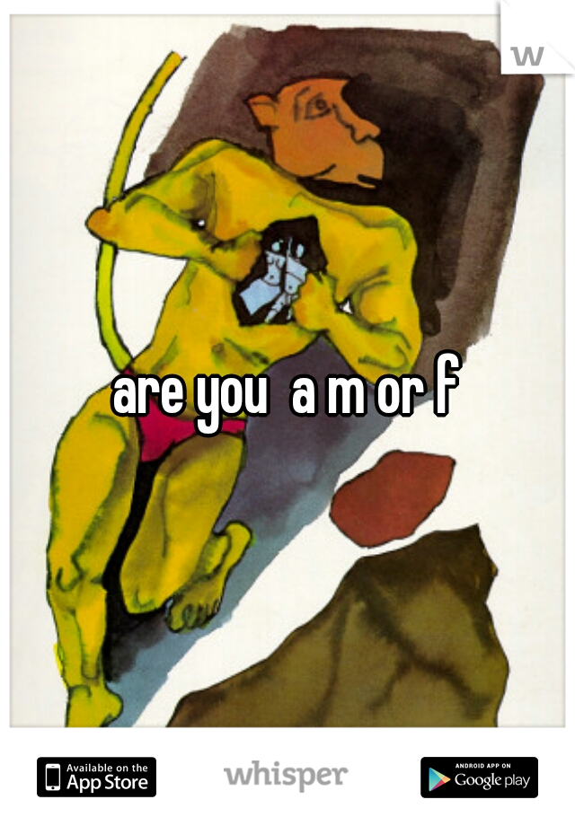 are you  a m or f