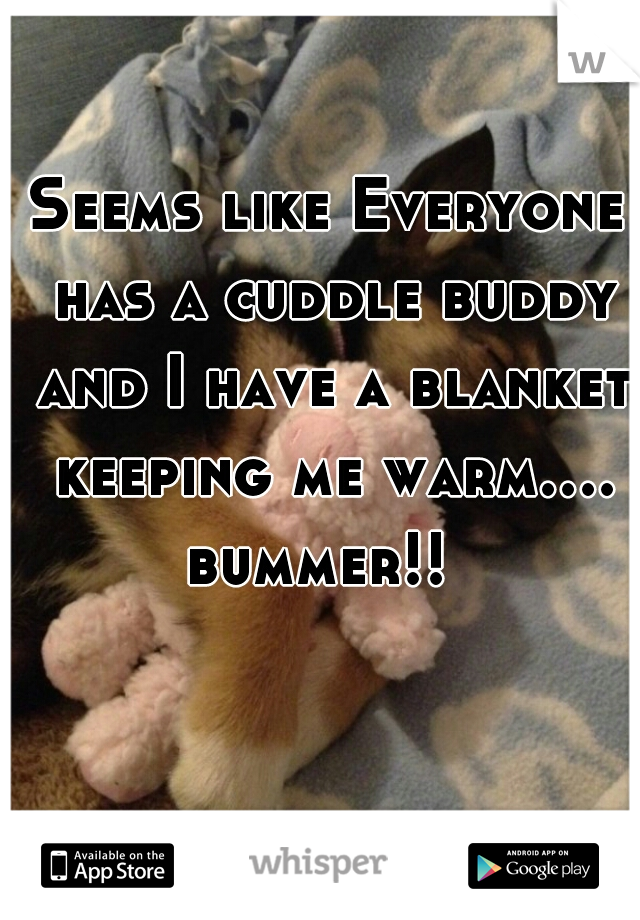 Seems like Everyone has a cuddle buddy and I have a blanket keeping me warm.... bummer!!  