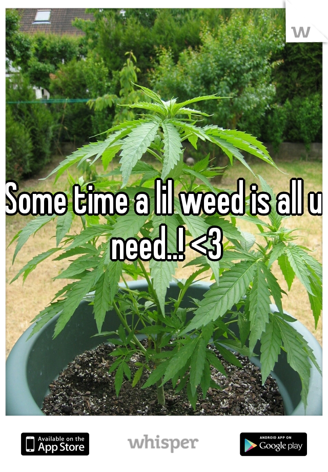Some time a lil weed is all u need..! <3