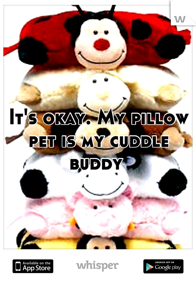 It's okay. My pillow pet is my cuddle buddy 