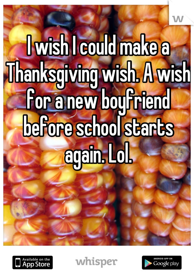 I wish I could make a Thanksgiving wish. A wish for a new boyfriend before school starts again. Lol.
