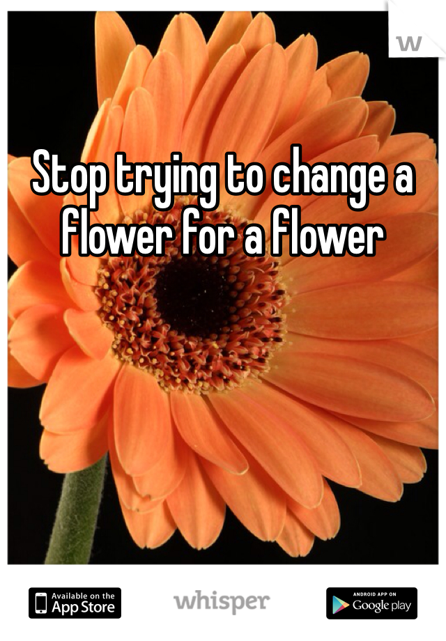 Stop trying to change a flower for a flower