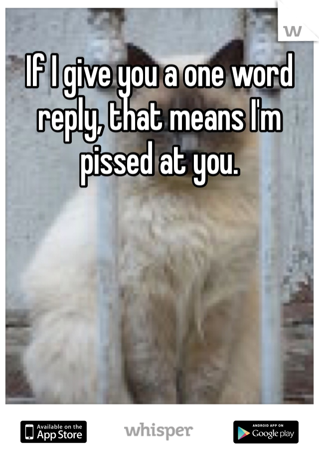 If I give you a one word reply, that means I'm pissed at you. 