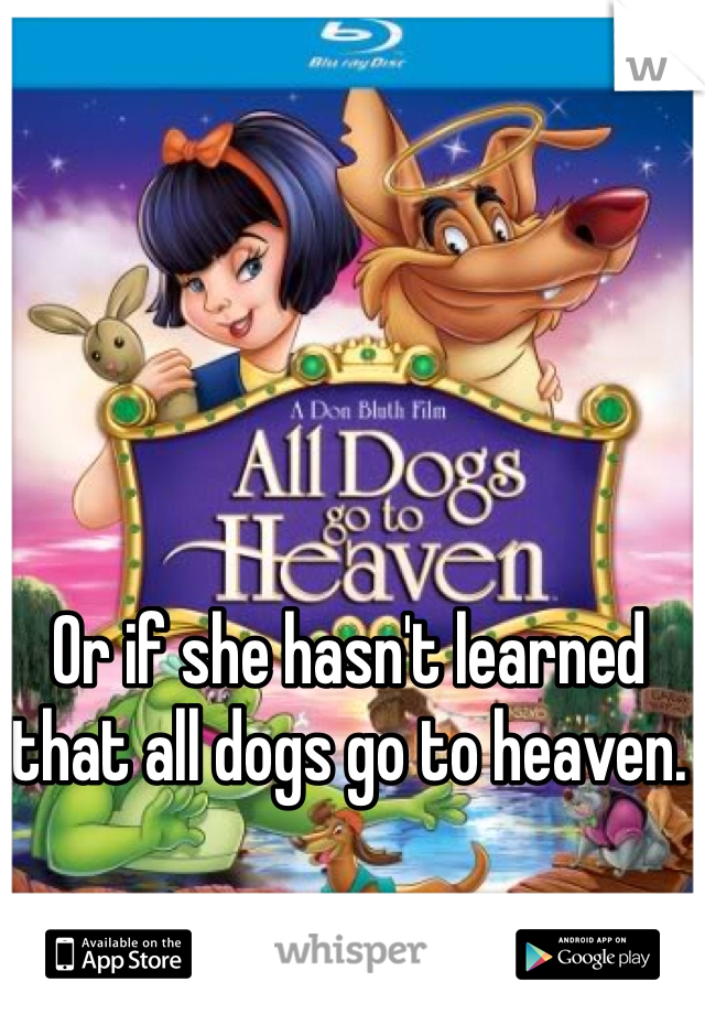 Or if she hasn't learned that all dogs go to heaven.