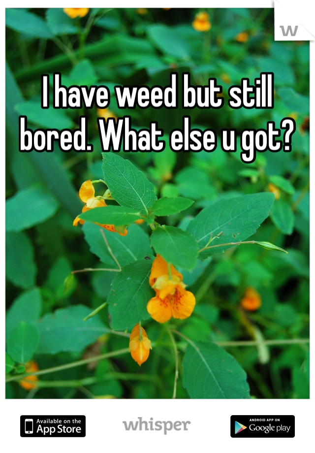 I have weed but still bored. What else u got? 