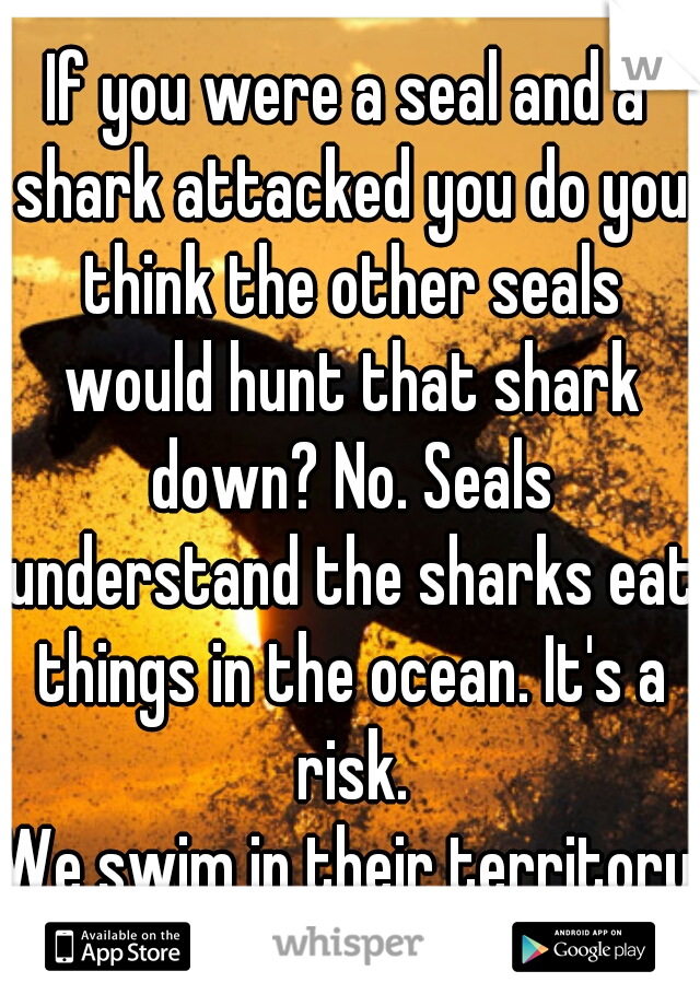 If you were a seal and a shark attacked you do you think the other seals would hunt that shark down? No. Seals understand the sharks eat things in the ocean. It's a risk.
 
We swim in their territory.