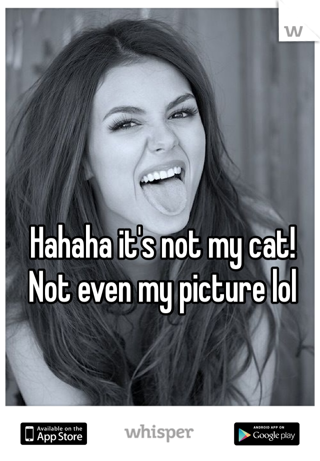 Hahaha it's not my cat! Not even my picture lol
