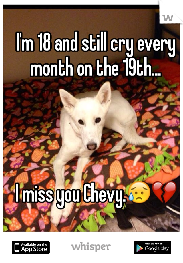 I'm 18 and still cry every month on the 19th...




I miss you Chevy.😥💔