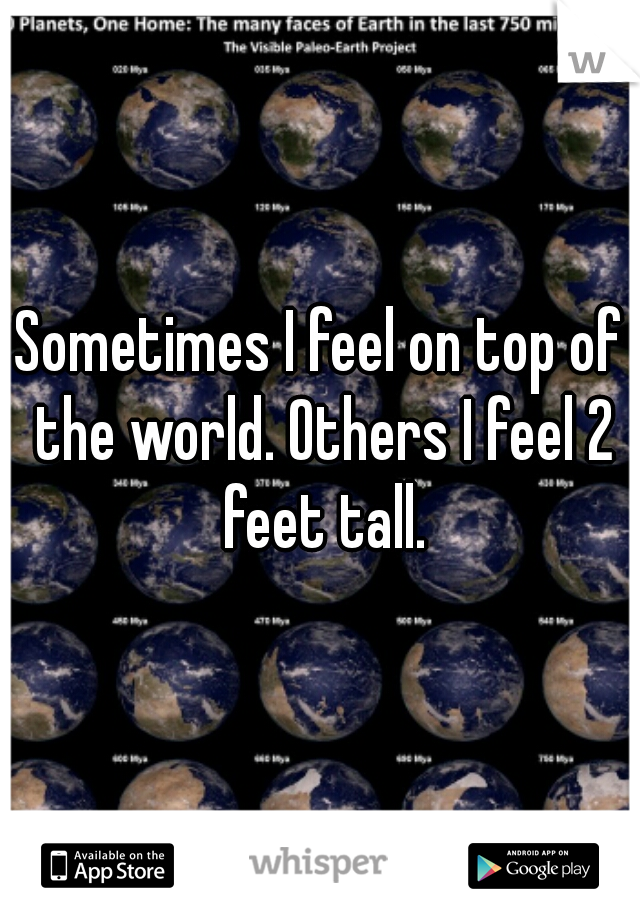 Sometimes I feel on top of the world. Others I feel 2 feet tall.
