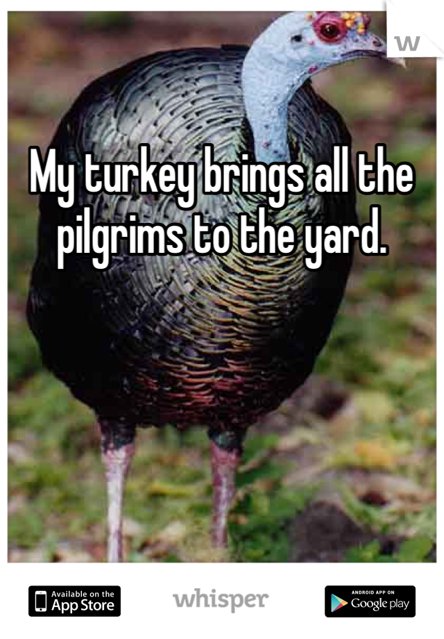 My turkey brings all the pilgrims to the yard. 
