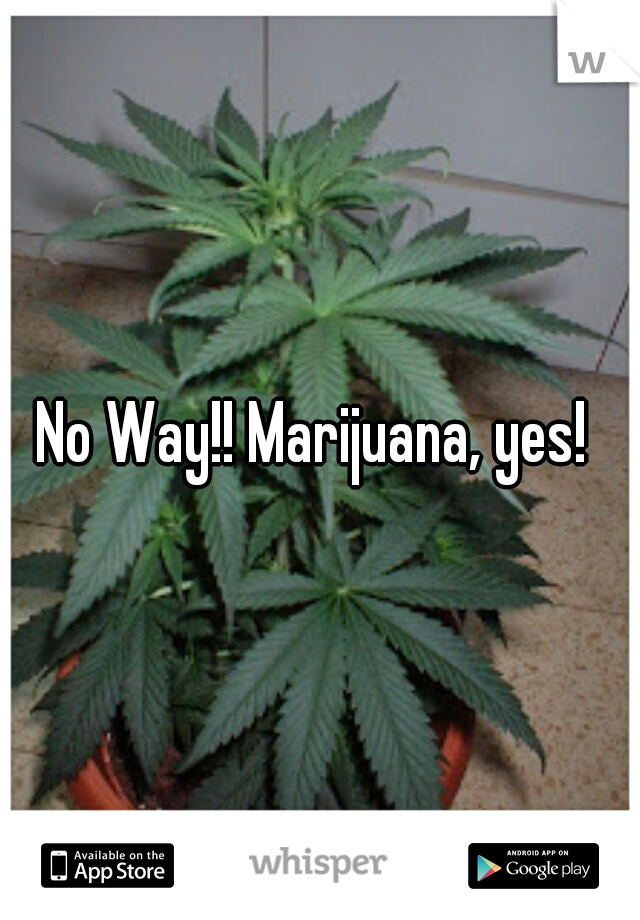 No Way!! Marijuana, yes! 