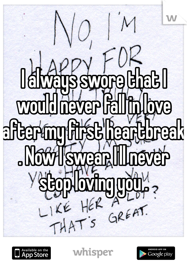 I always swore that I would never fall in love after my first heartbreak . Now I swear I'll never stop loving you . 