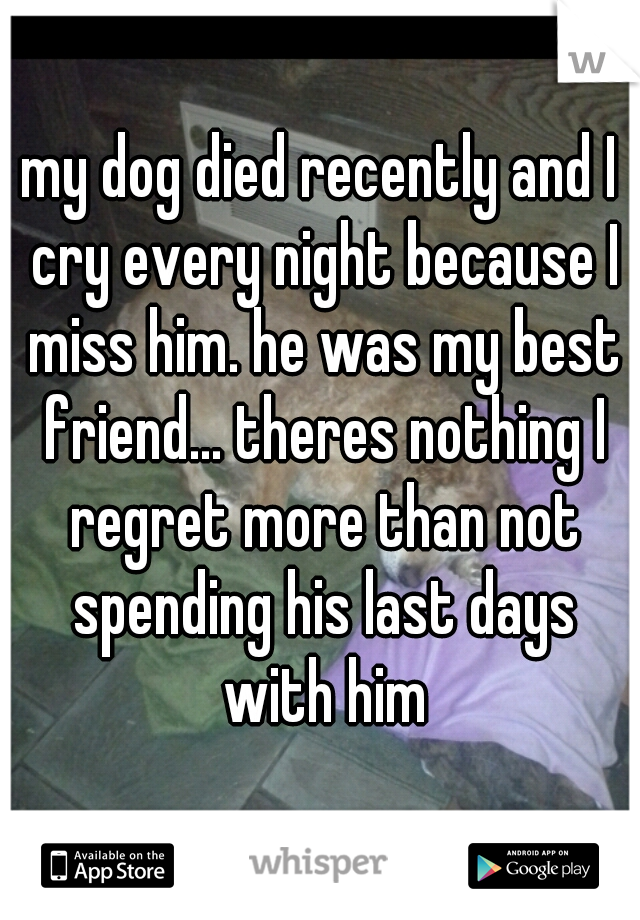 my dog died recently and I cry every night because I miss him. he was my best friend... theres nothing I regret more than not spending his last days with him