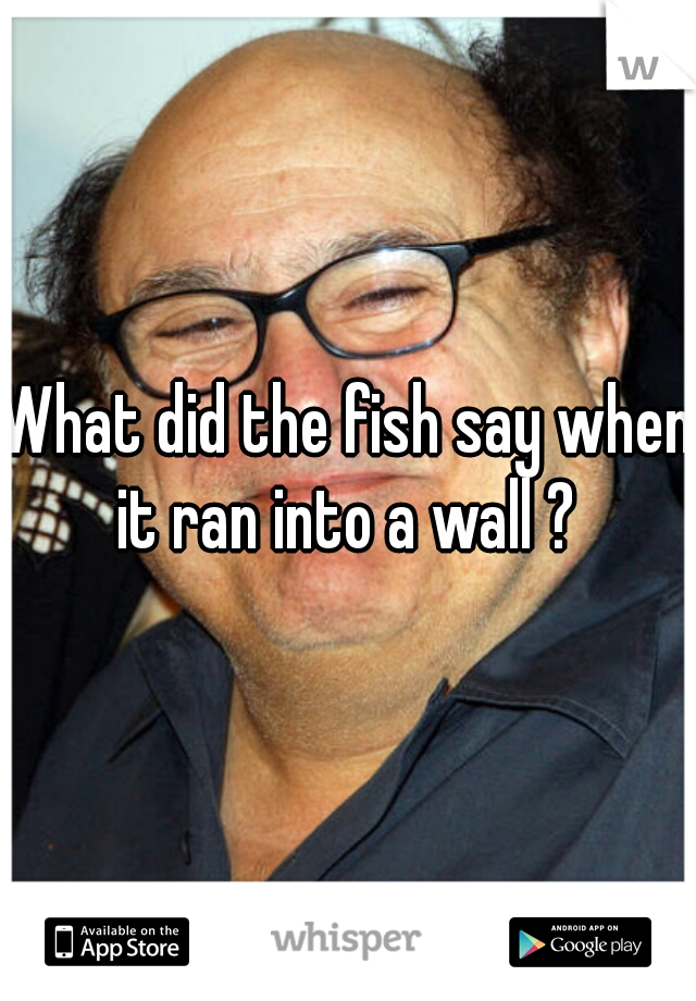 What did the fish say when it ran into a wall ? 