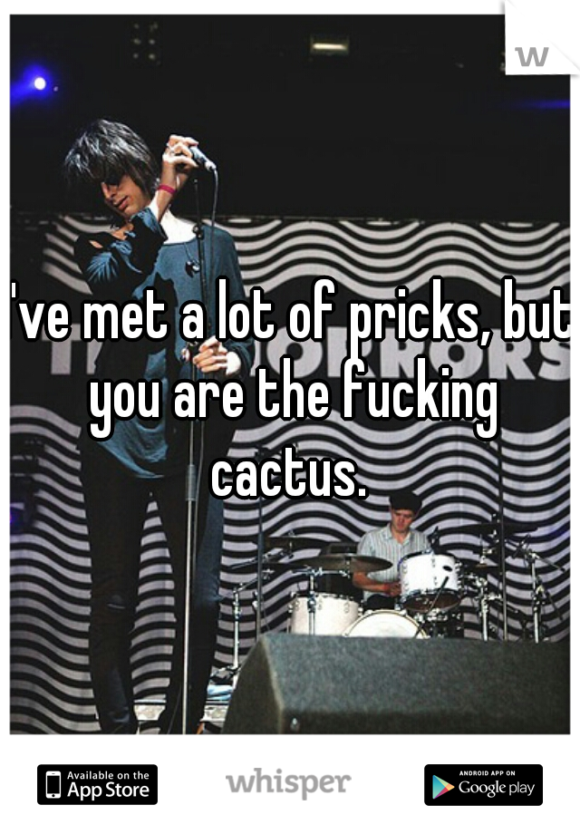 I've met a lot of pricks, but you are the fucking cactus. 