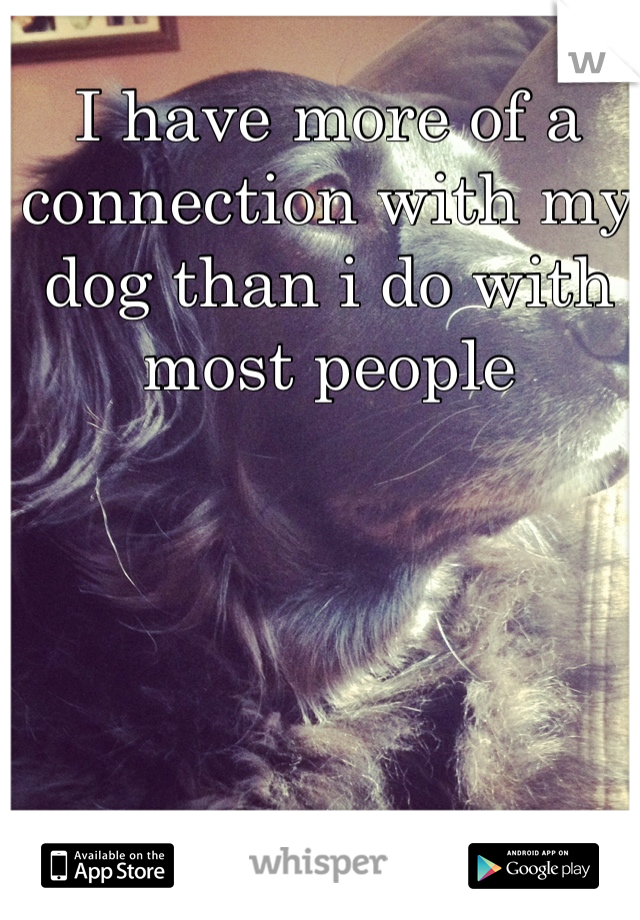 I have more of a connection with my dog than i do with most people