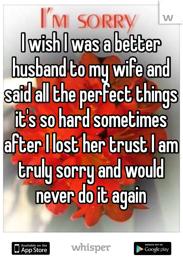I wish I was a better husband to my wife and said all the perfect things it's so hard sometimes after I lost her trust I am truly sorry and would never do it again