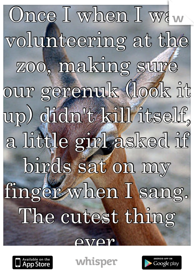 Once I when I was volunteering at the zoo, making sure our gerenuk (look it up) didn't kill itself, a little girl asked if birds sat on my finger when I sang. 
The cutest thing ever. 