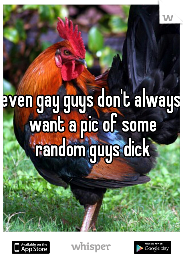 even gay guys don't always want a pic of some random guys dick