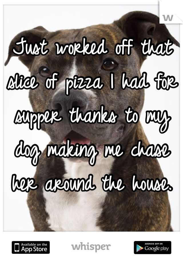 Just worked off that slice of pizza I had for supper thanks to my dog making me chase her around the house. 