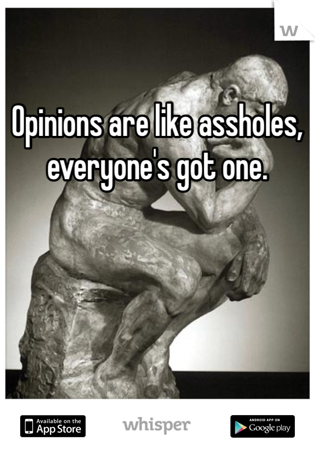 Opinions are like assholes, everyone's got one. 