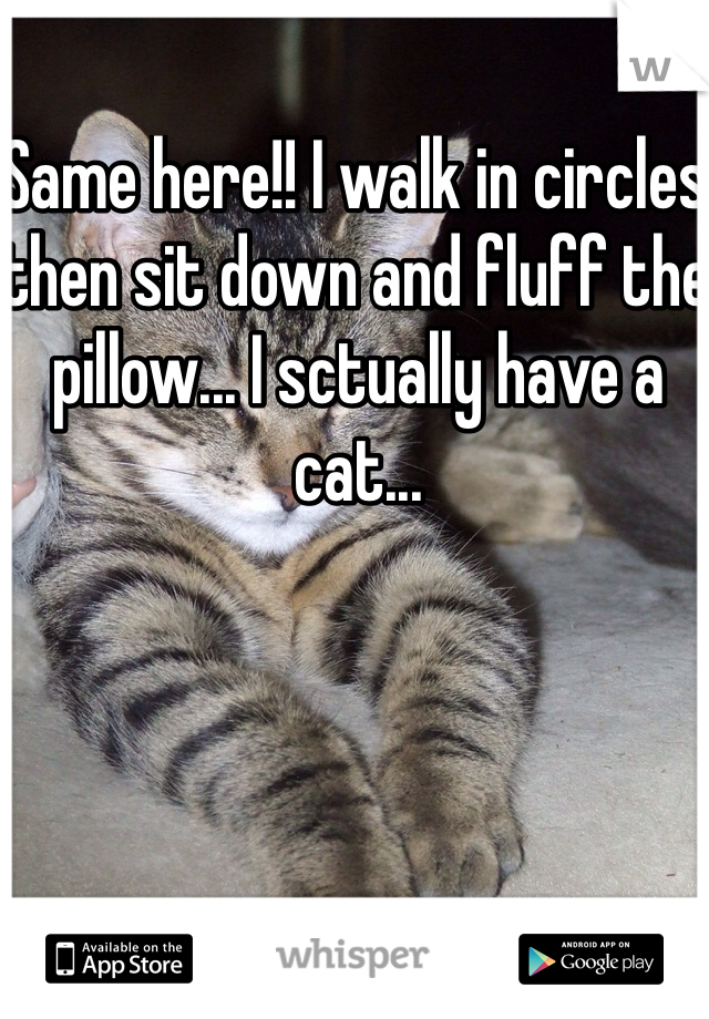 Same here!! I walk in circles then sit down and fluff the pillow... I sctually have a cat...
