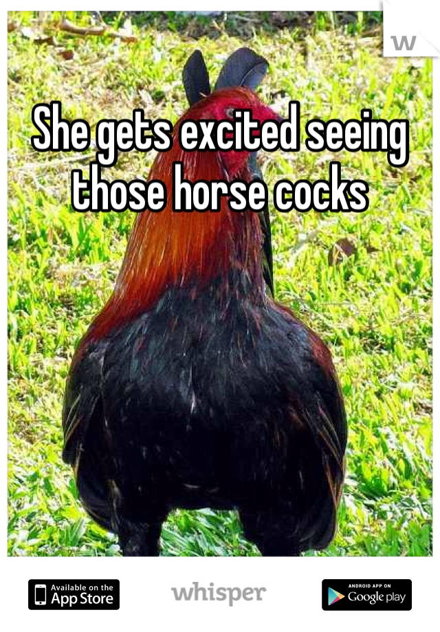 She gets excited seeing those horse cocks