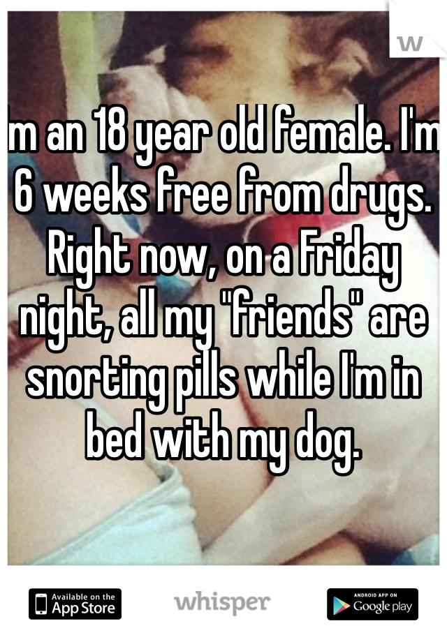Im an 18 year old female. I'm 6 weeks free from drugs. Right now, on a Friday night, all my "friends" are snorting pills while I'm in bed with my dog. 