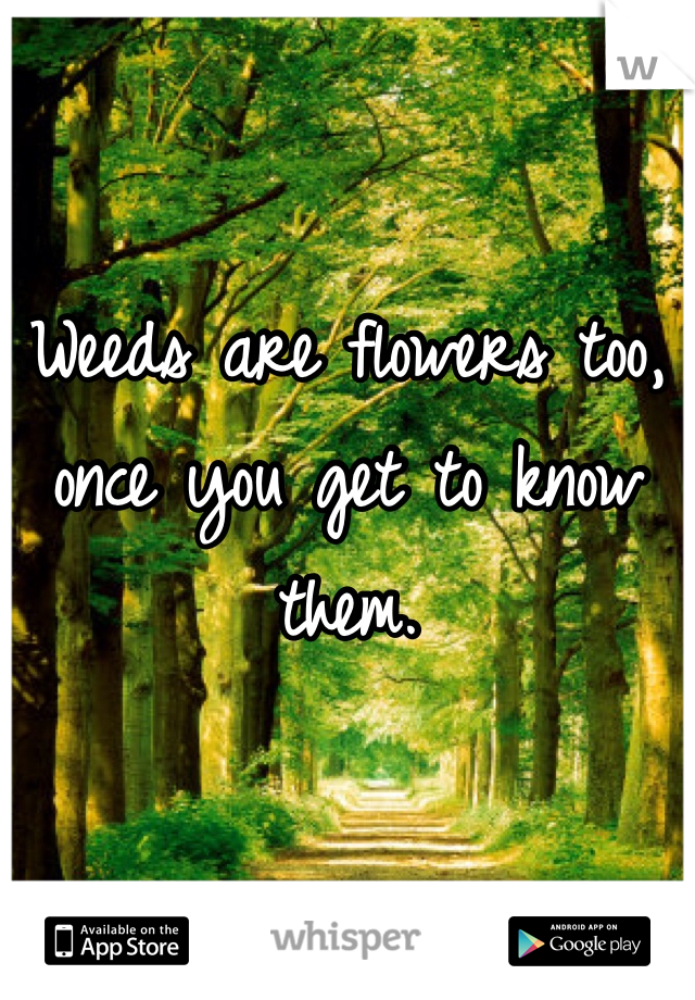 Weeds are flowers too, once you get to know them.
