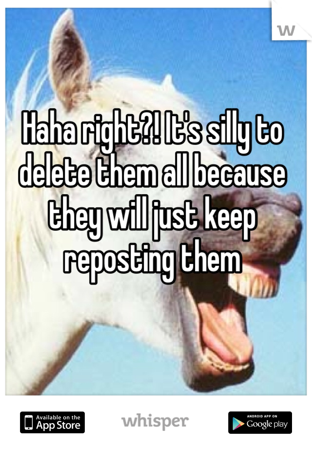 Haha right?! It's silly to delete them all because they will just keep reposting them 